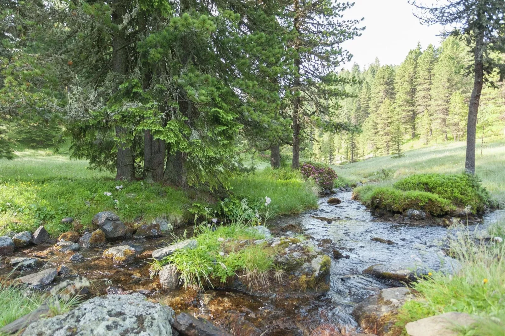 Alpenpark Turrach App 7-Areas summer 1km