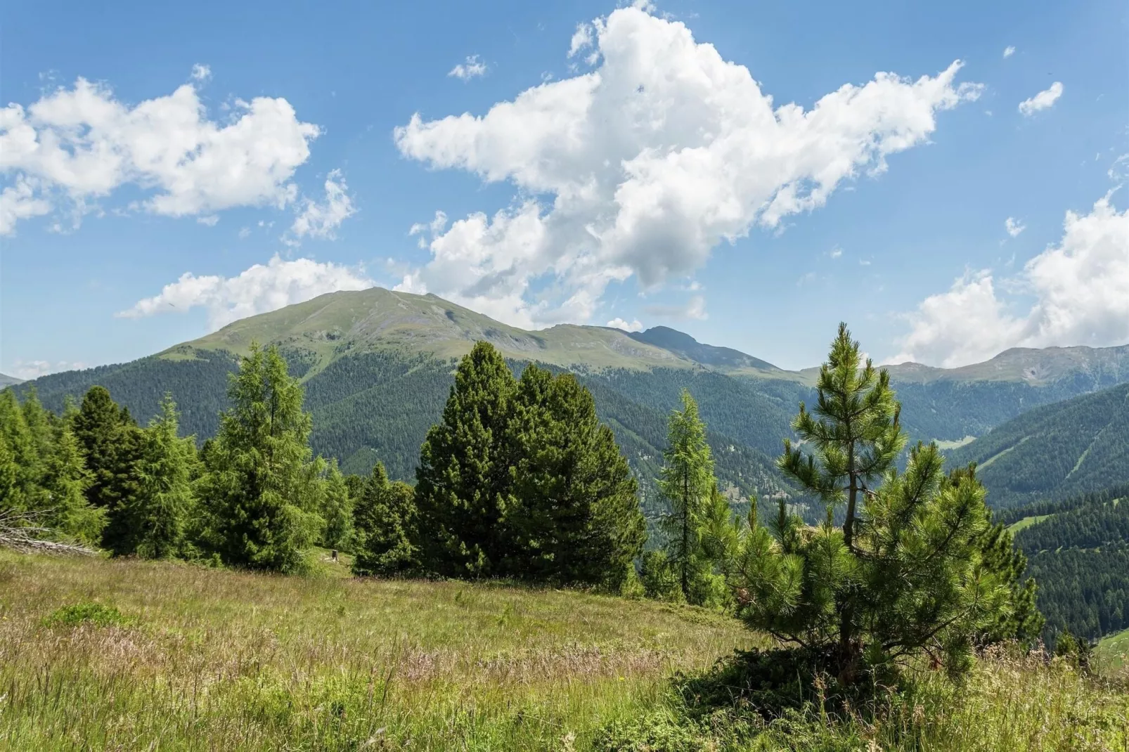 Alpenpark Turrach App 7-Areas summer 20km