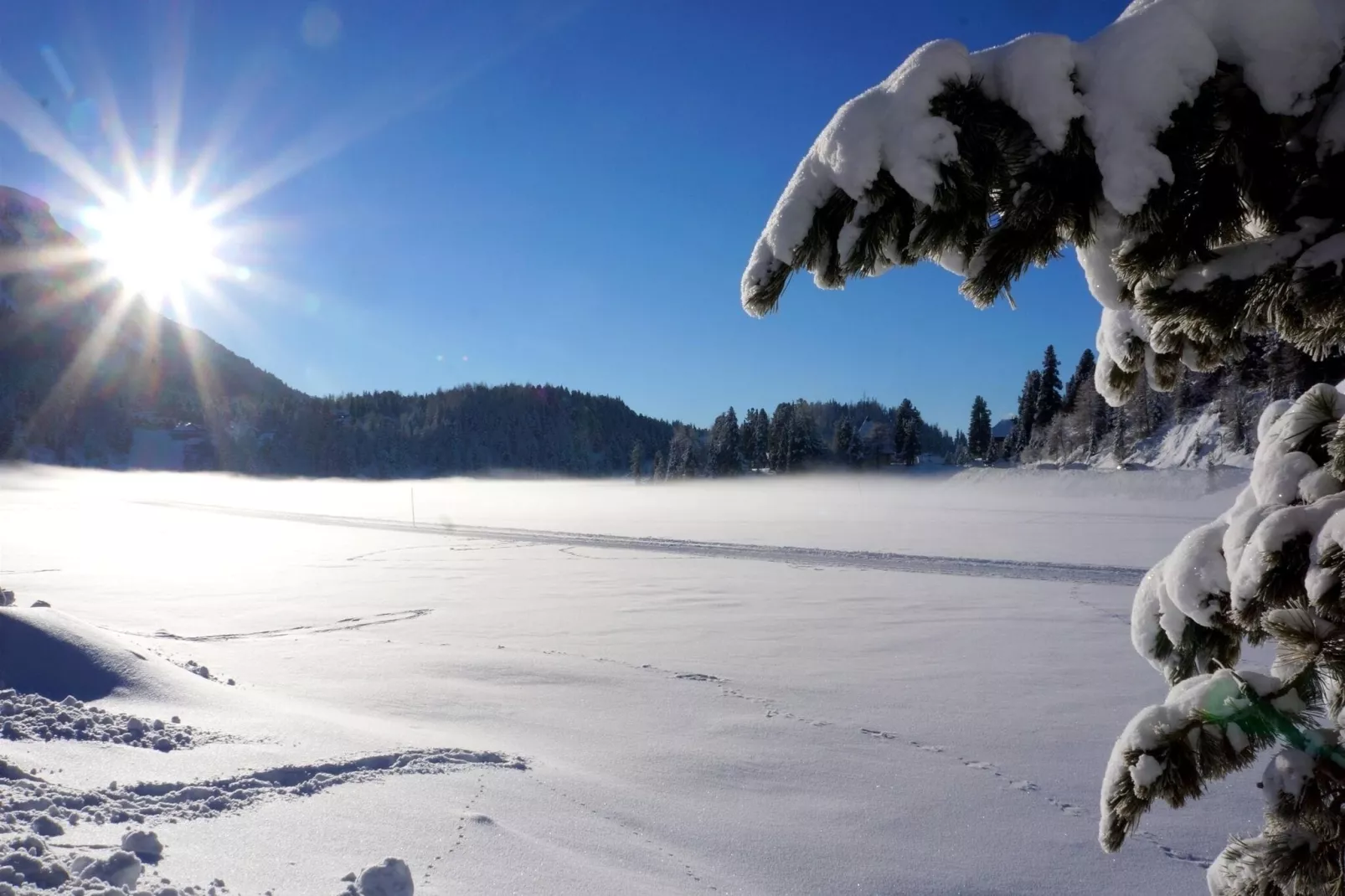 Alpenpark Turrach App 7-Area winter 20km