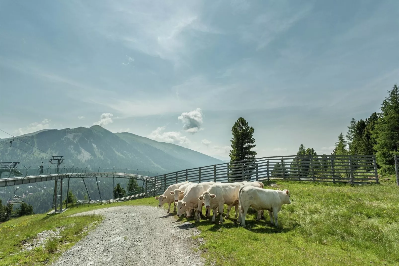 Alpenpark Turrach App8-View summer