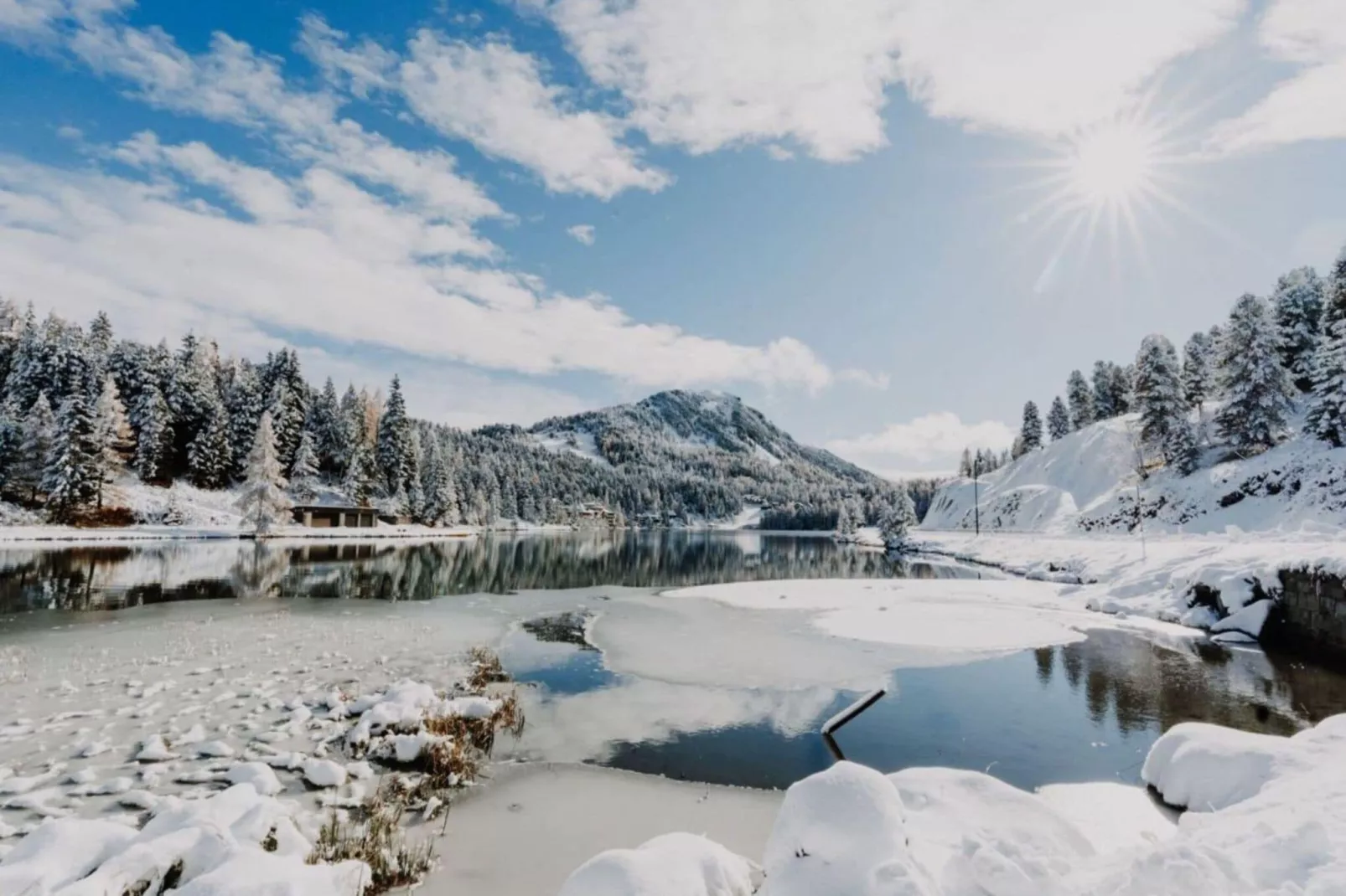 Alpenpark Turrach App 11-Area winter 1km