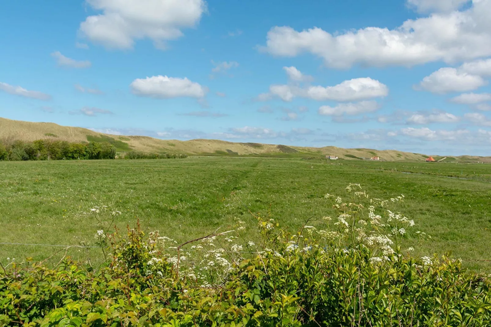 Alpenpark Turrach App 11-Areas summer 5km
