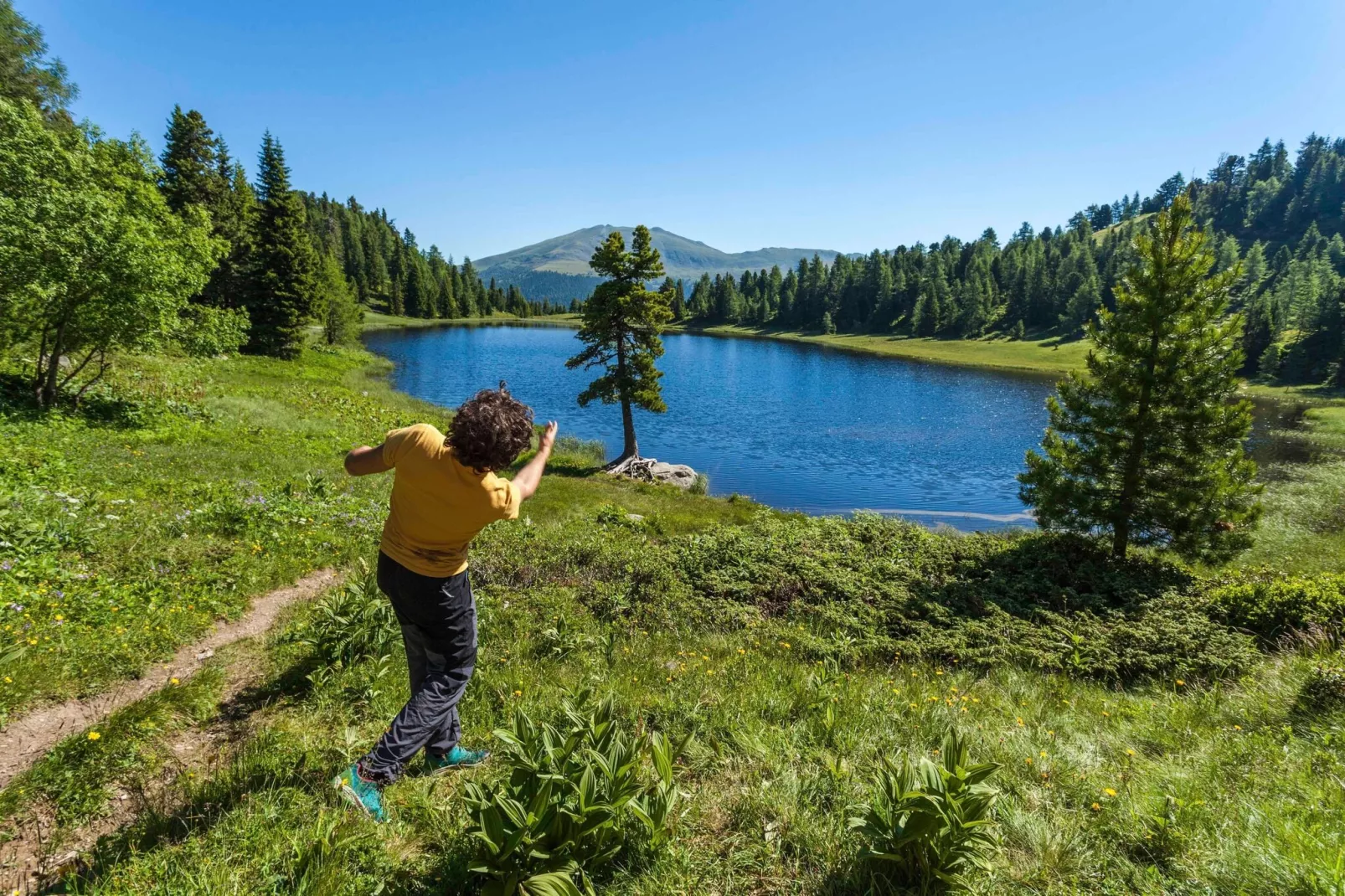 Alpenpark Turrach 4-Gebiete Sommer 5 km
