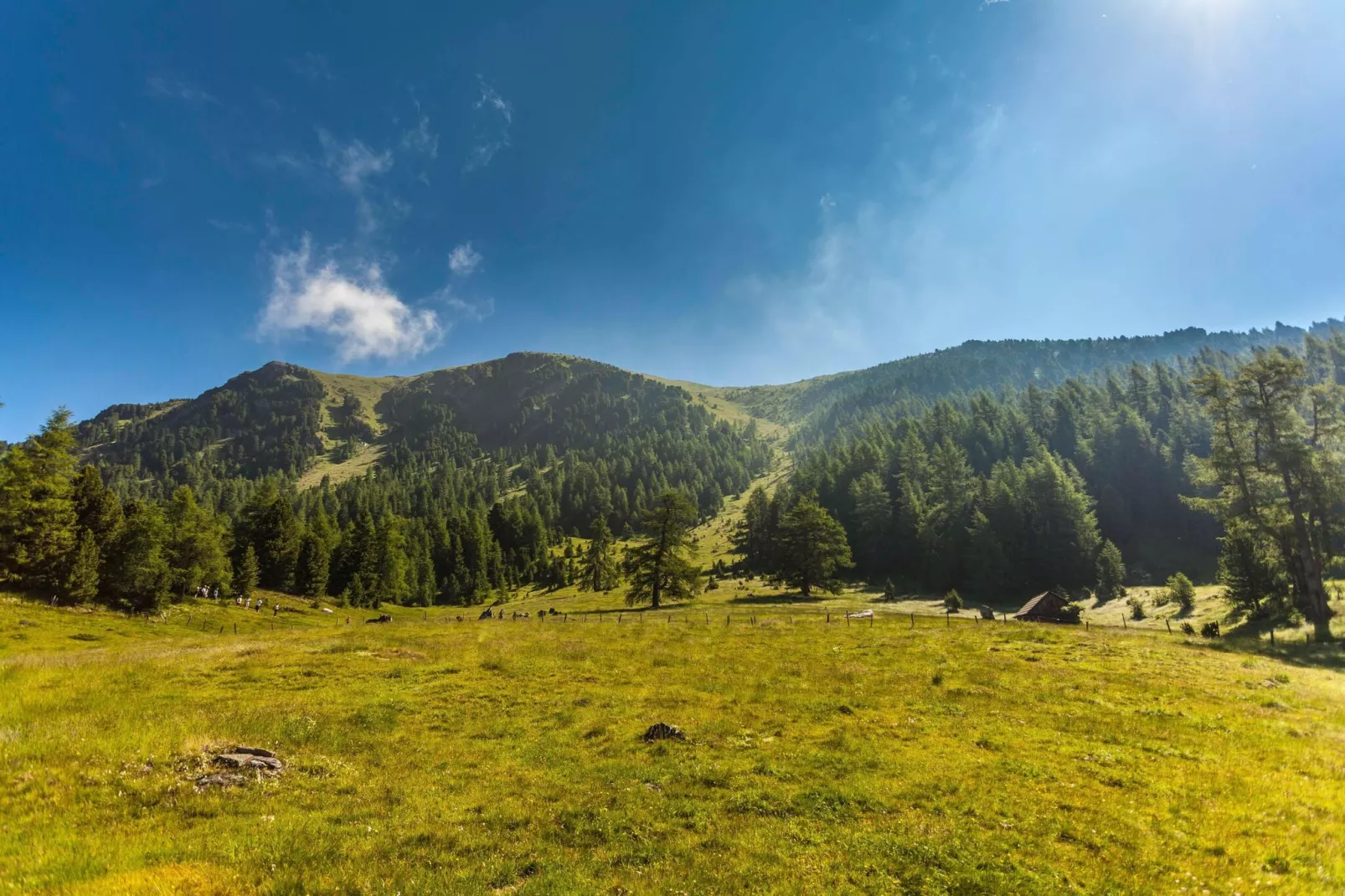 Alpenpark Turrach 4-Gebiete Sommer 5 km