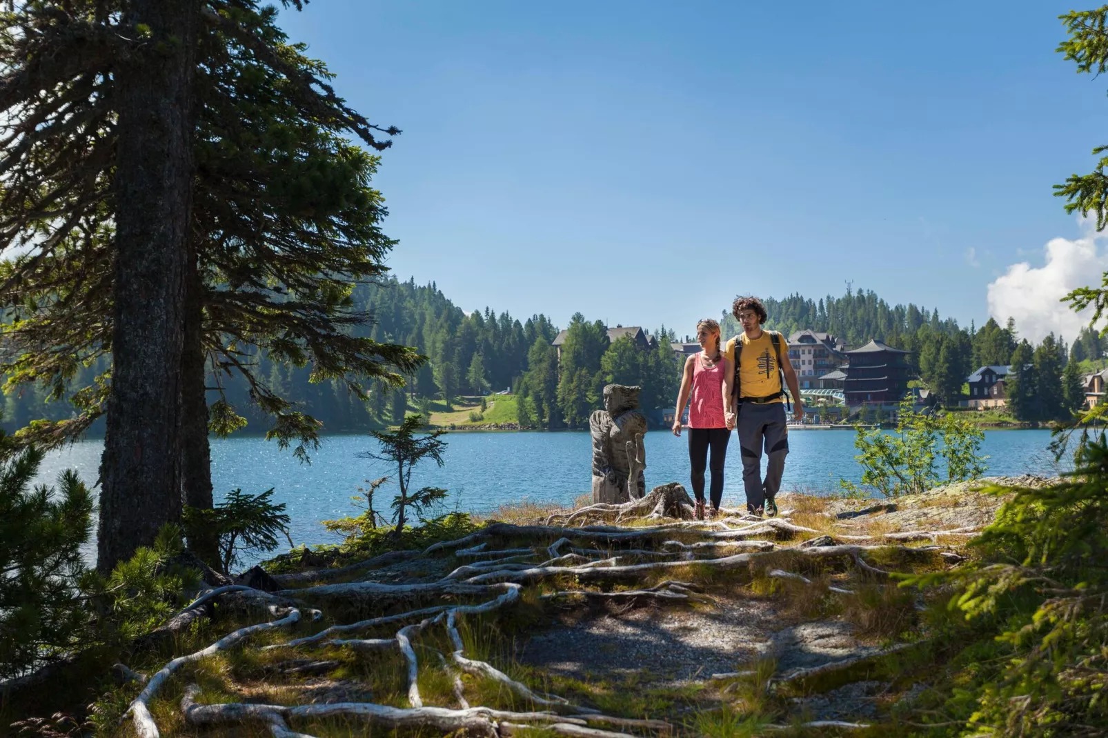 Alpenpark Turrach 4-Gebiete Sommer 5 km