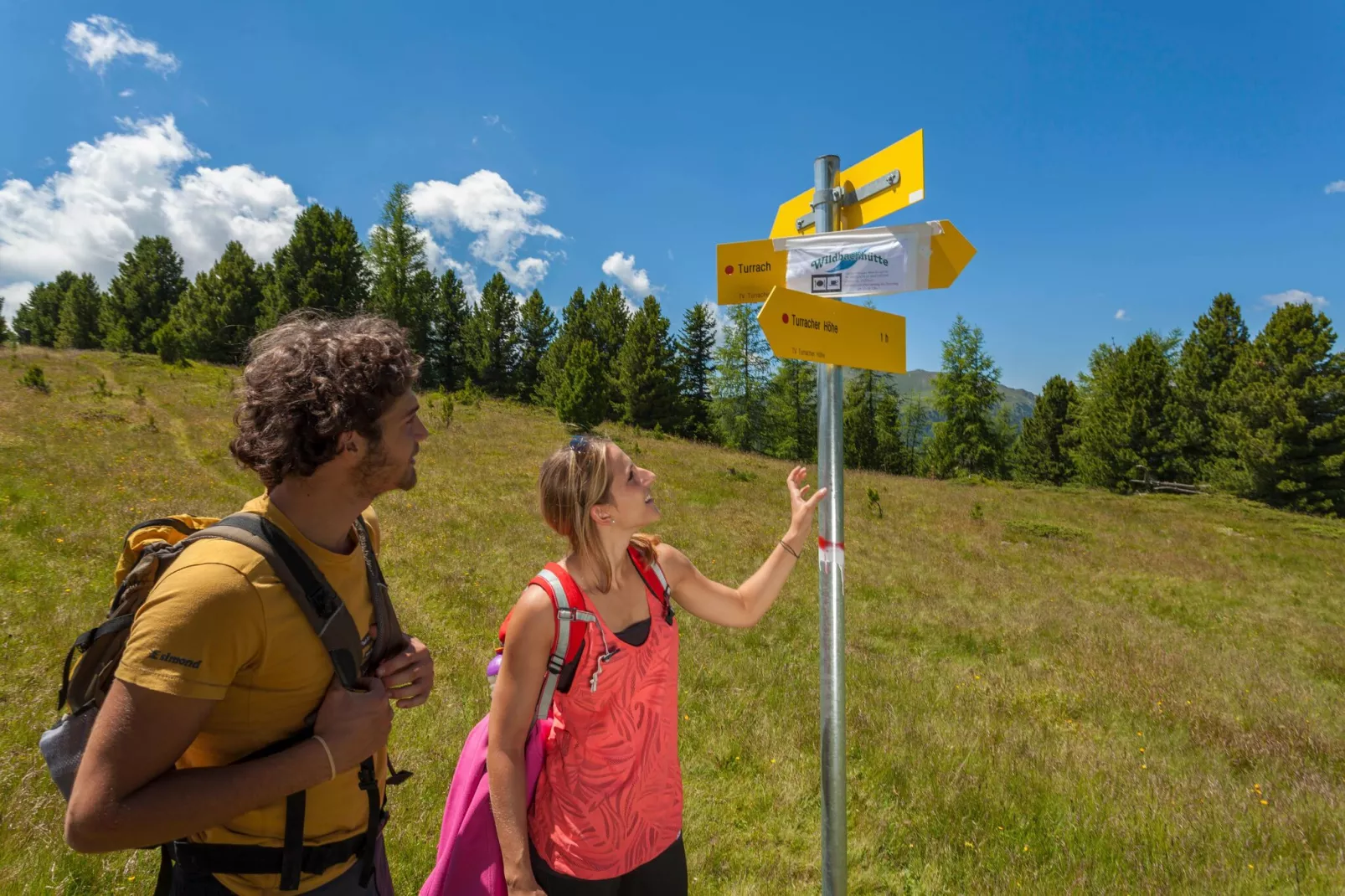 Alpenpark Turrach 4-Gebiete Sommer 5 km