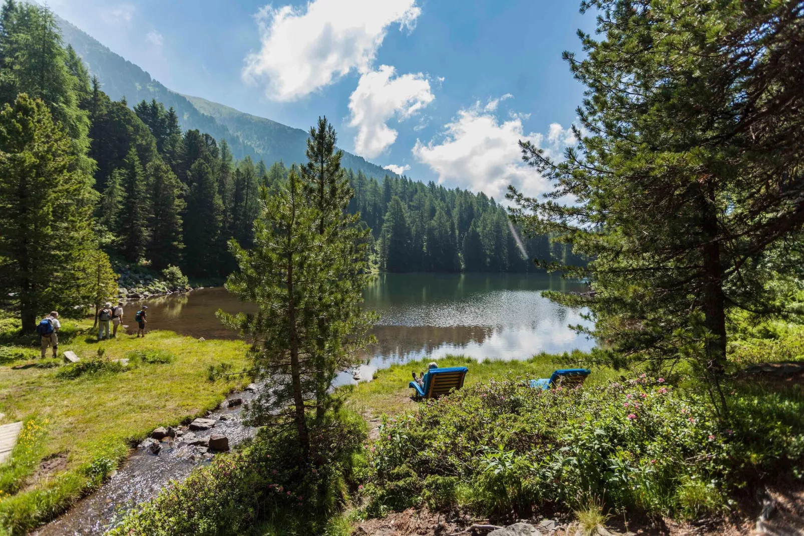 Alpenpark Turrach 5-Areas summer 5km
