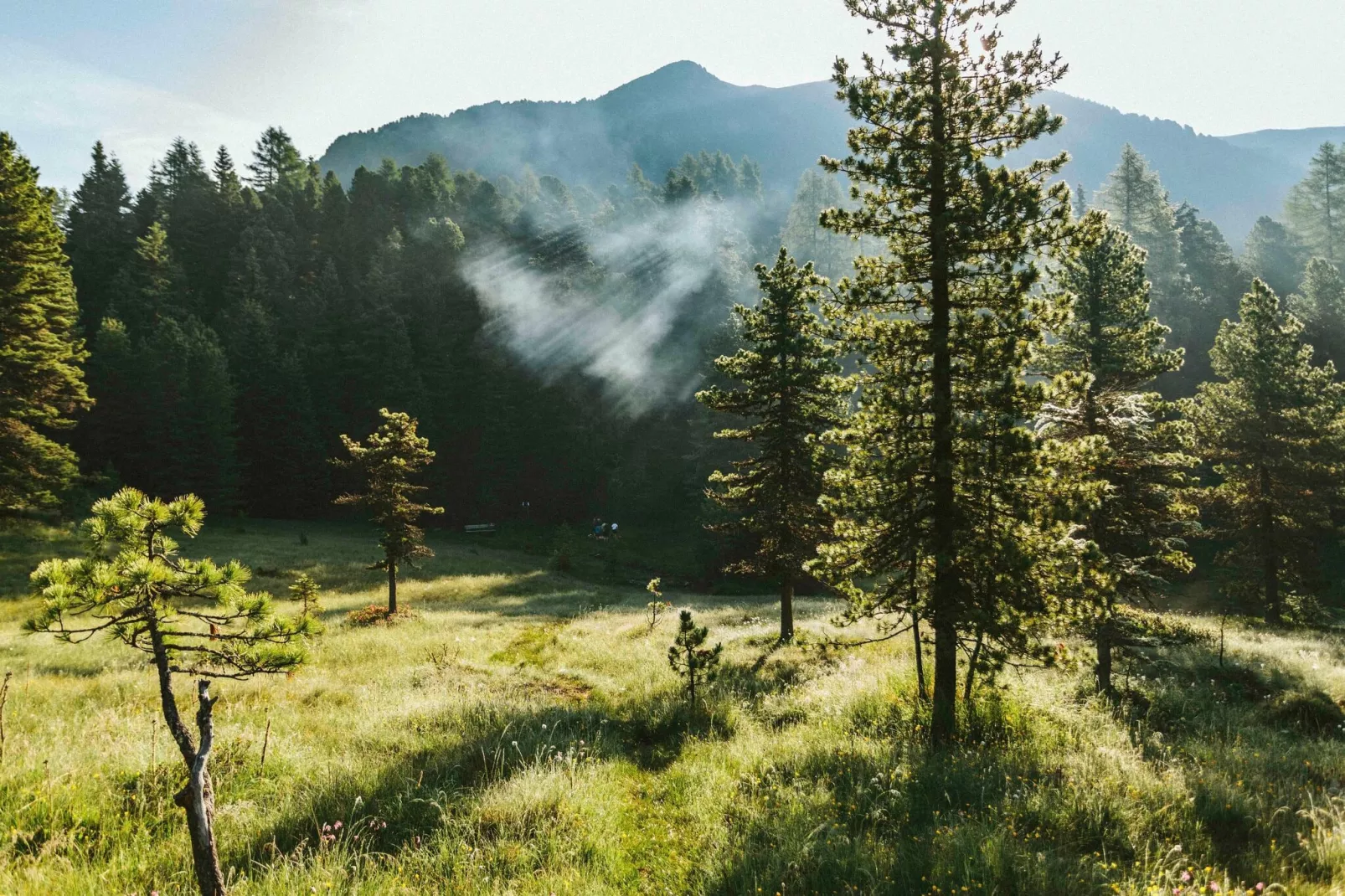 Alpenpark Turrach 5-Areas summer 5km
