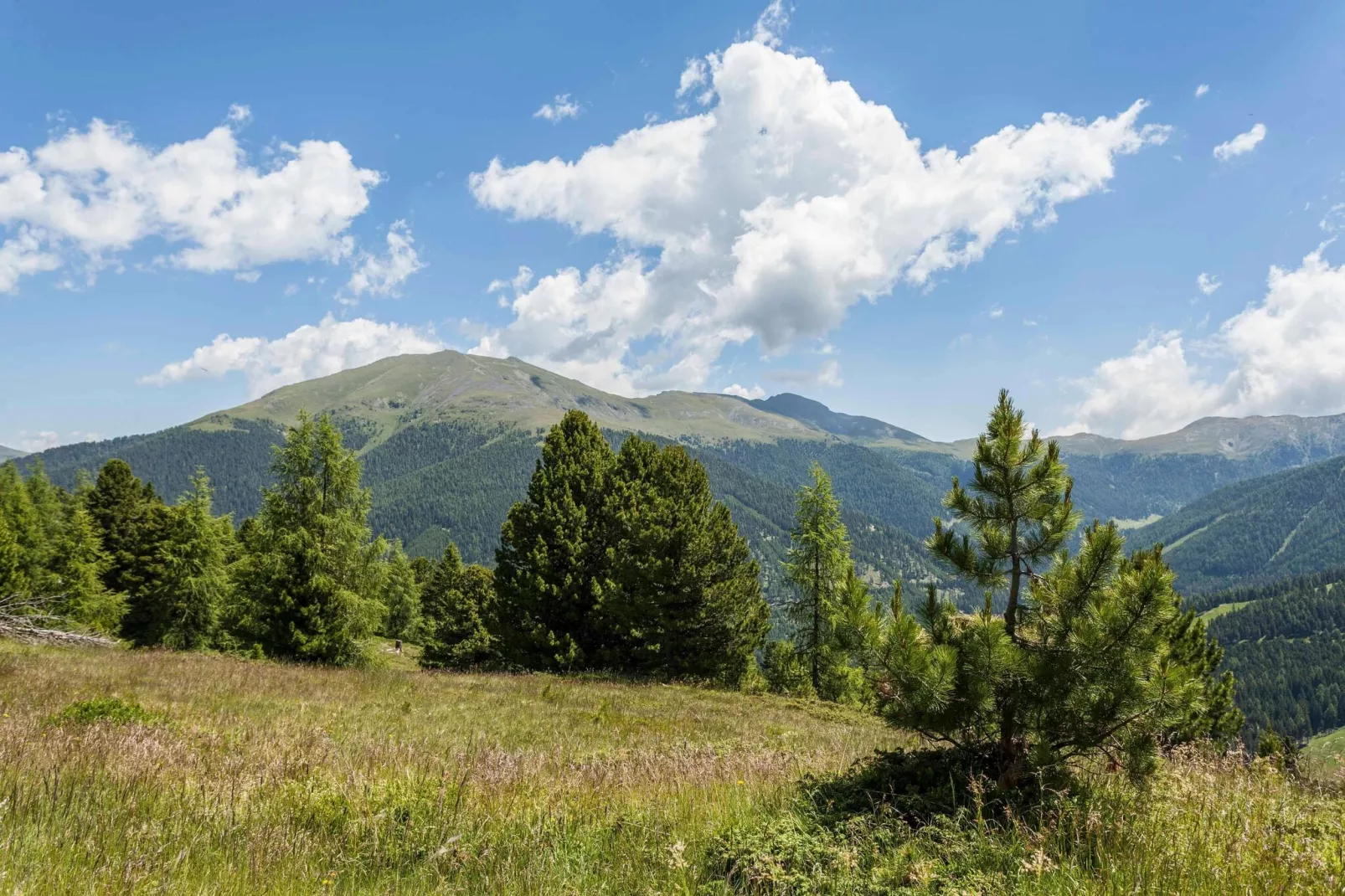 Alpenpark Turrach 5-Areas summer 5km