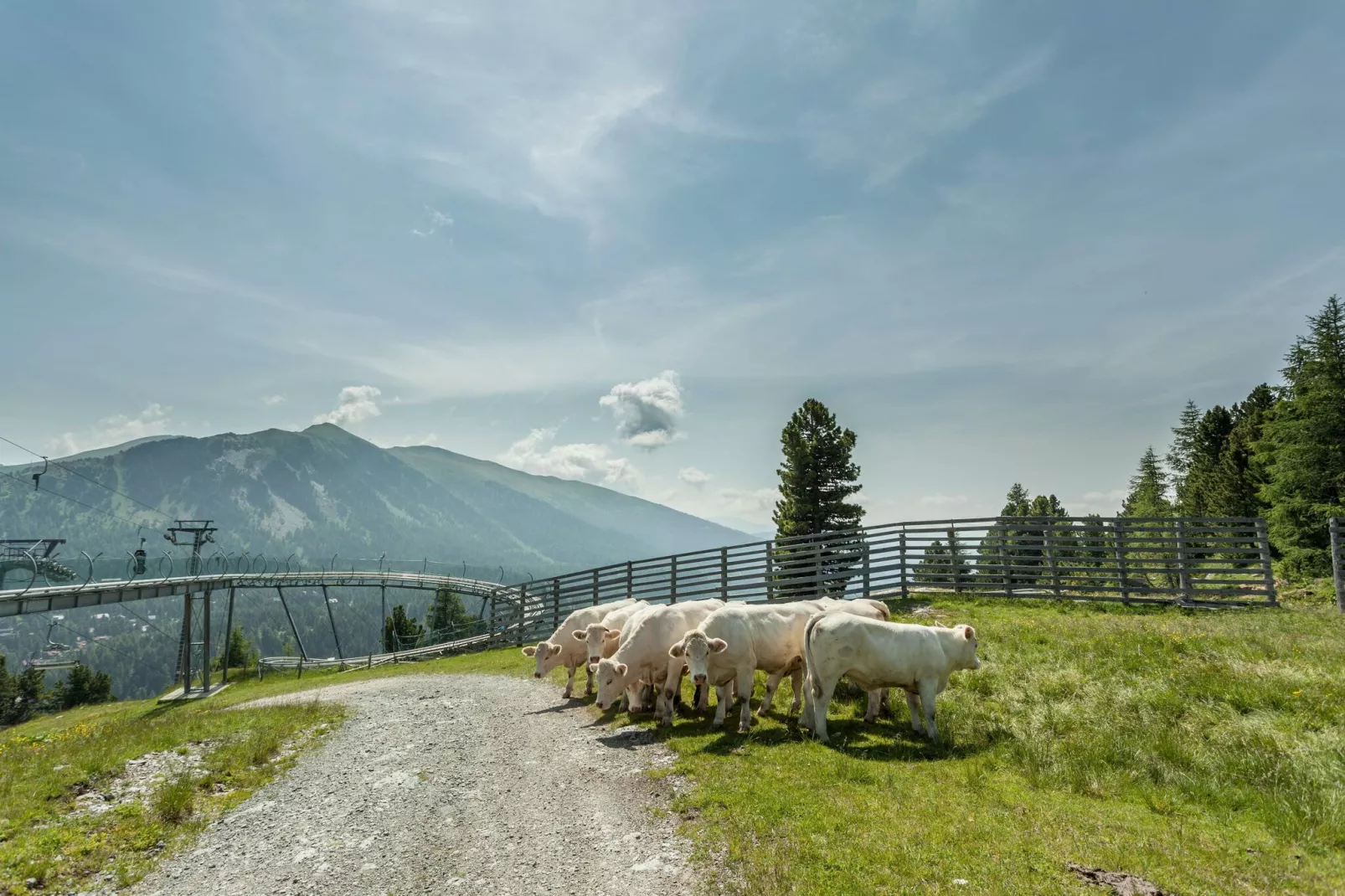 Alpenpark Turrach 5-Areas summer 5km