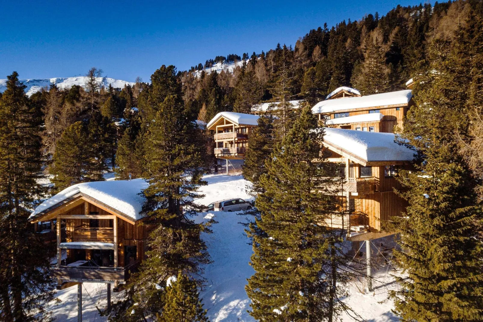 Alpenpark Turrach 7-Area winter 1km