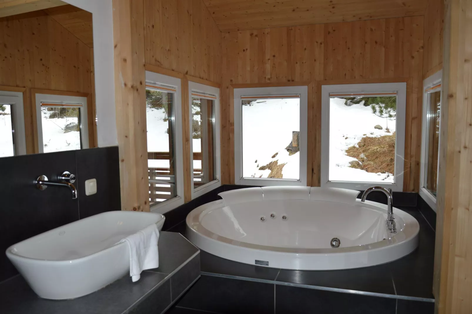 Alpenpark Turrach 8-Bathroom