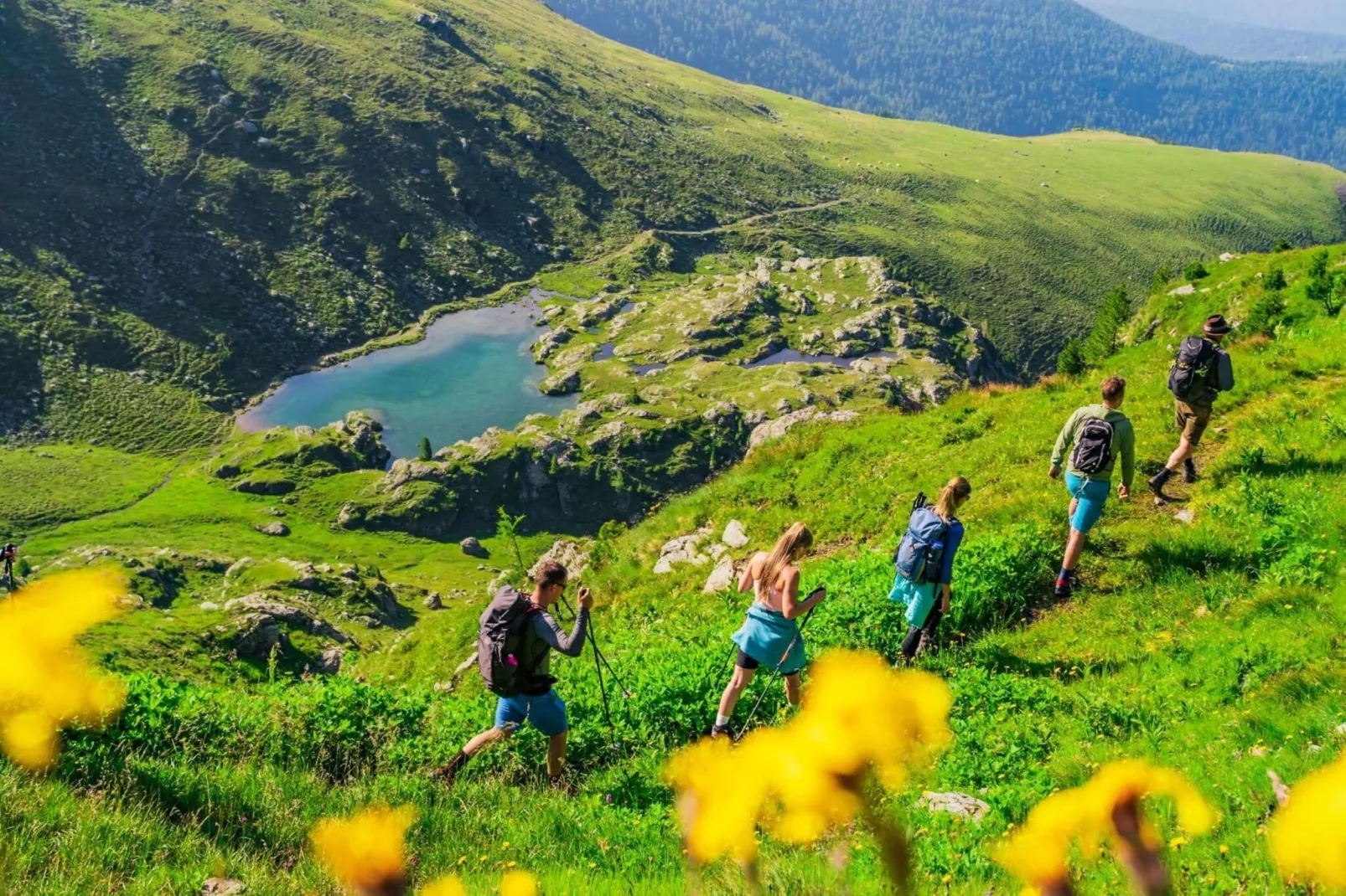 Alpenpark Turrach 9-Areas summer 5km