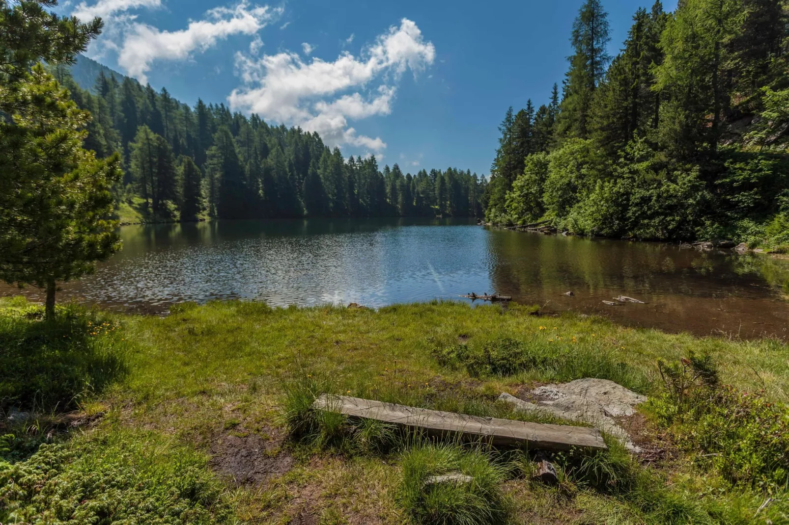 Alpenpark Turrach 9-Areas summer 5km