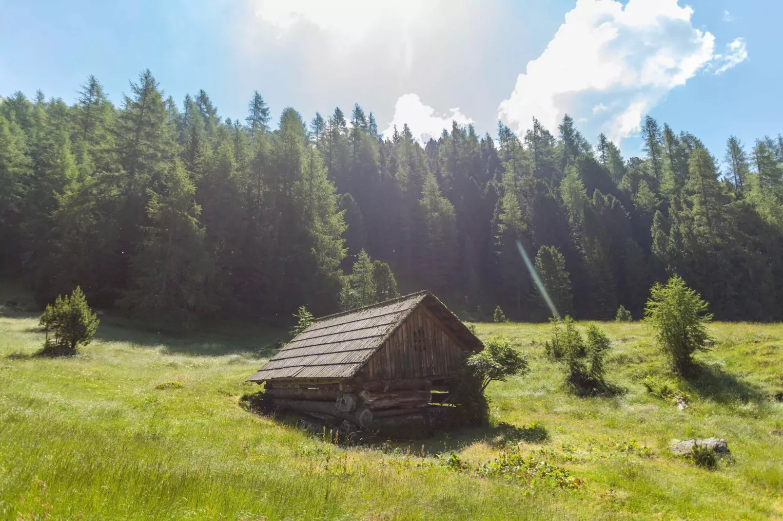 Alpenpark Turrach 10-Zones d'été à 20 km