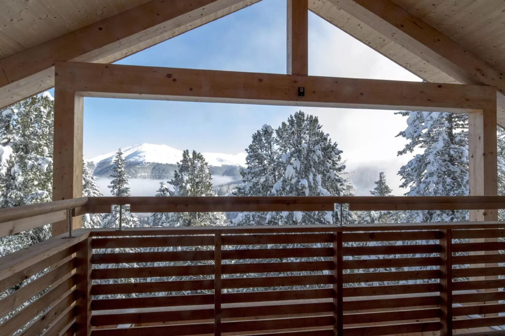 Alpenpark Turrach 11-View winter