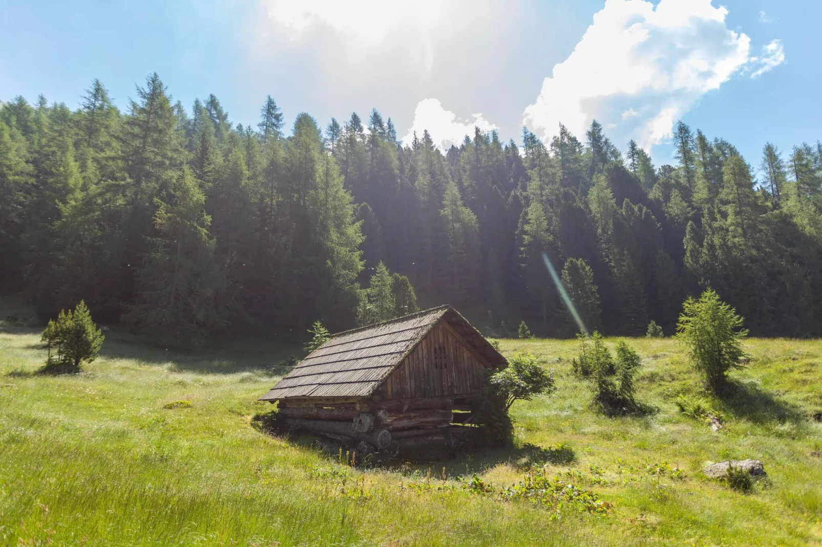 Alpenpark Turrach 11-Areas summer 5km