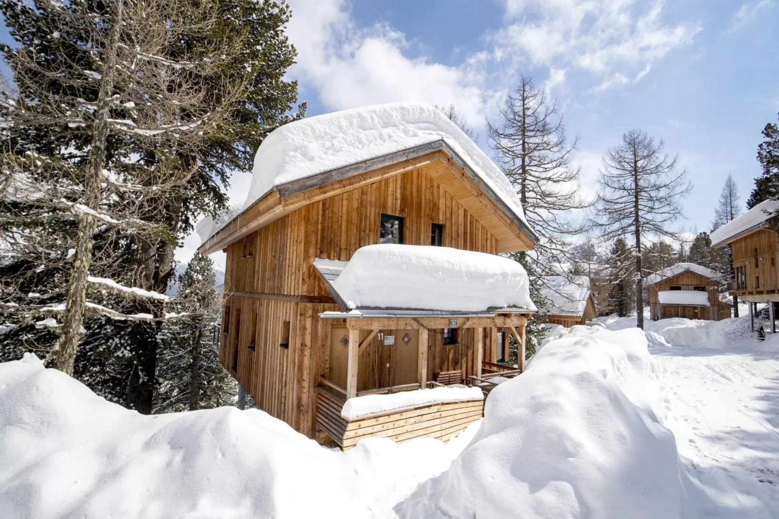 Alpenpark Turrach 11-Exterior winter