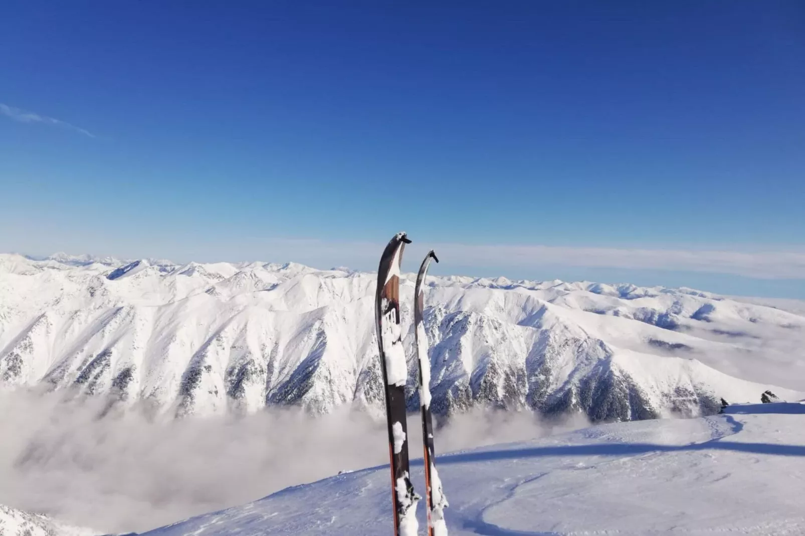 Alpenpark Turrach 11-Area winter 5km