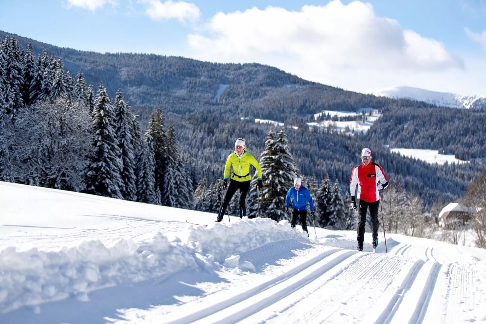 Alpenpark Turrach 11-Area winter 20km