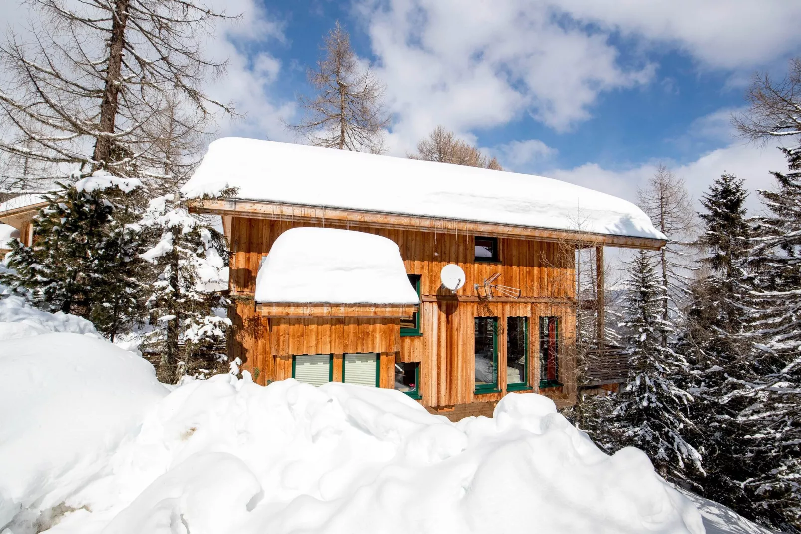Alpenpark Turrach 12-Exterior winter