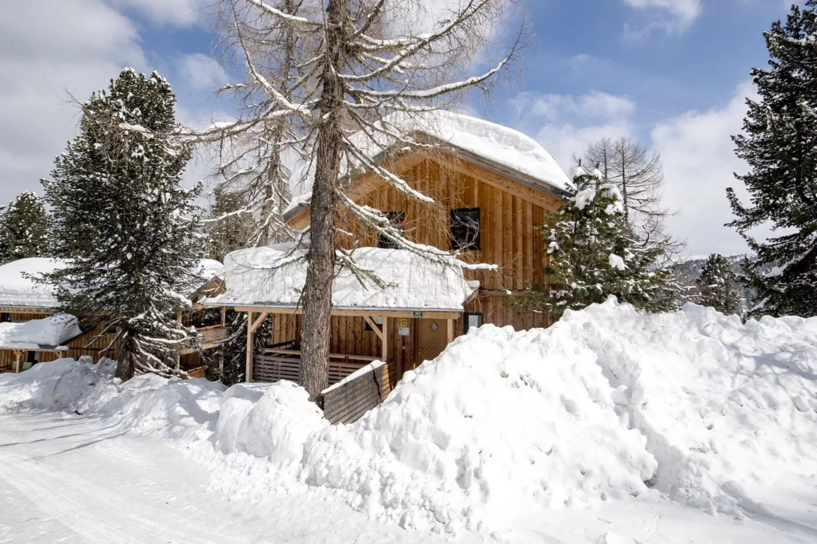 Alpenpark Turrach 12-Exterior winter