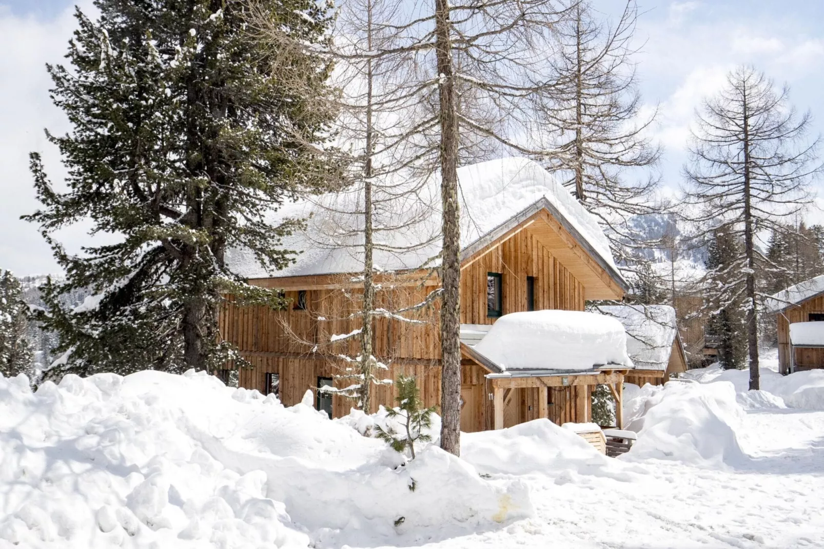 Alpenpark Turrach 12-Exterior winter
