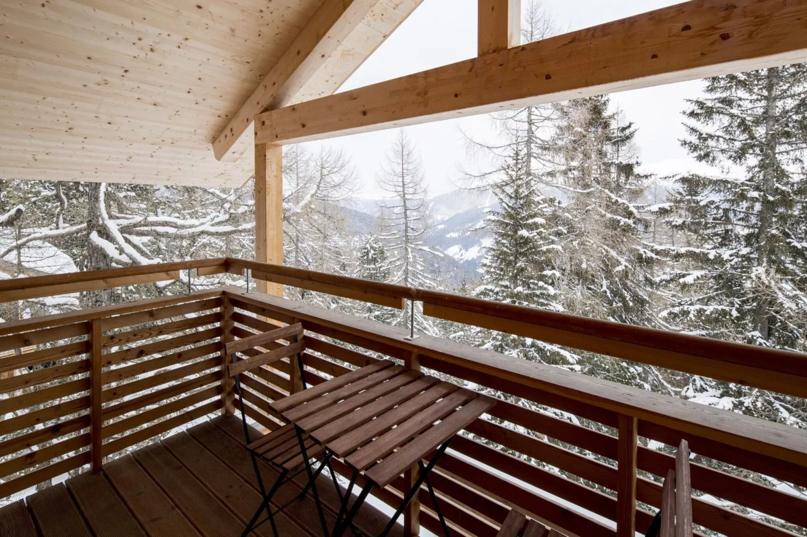 Alpenpark Turrach 12-View winter