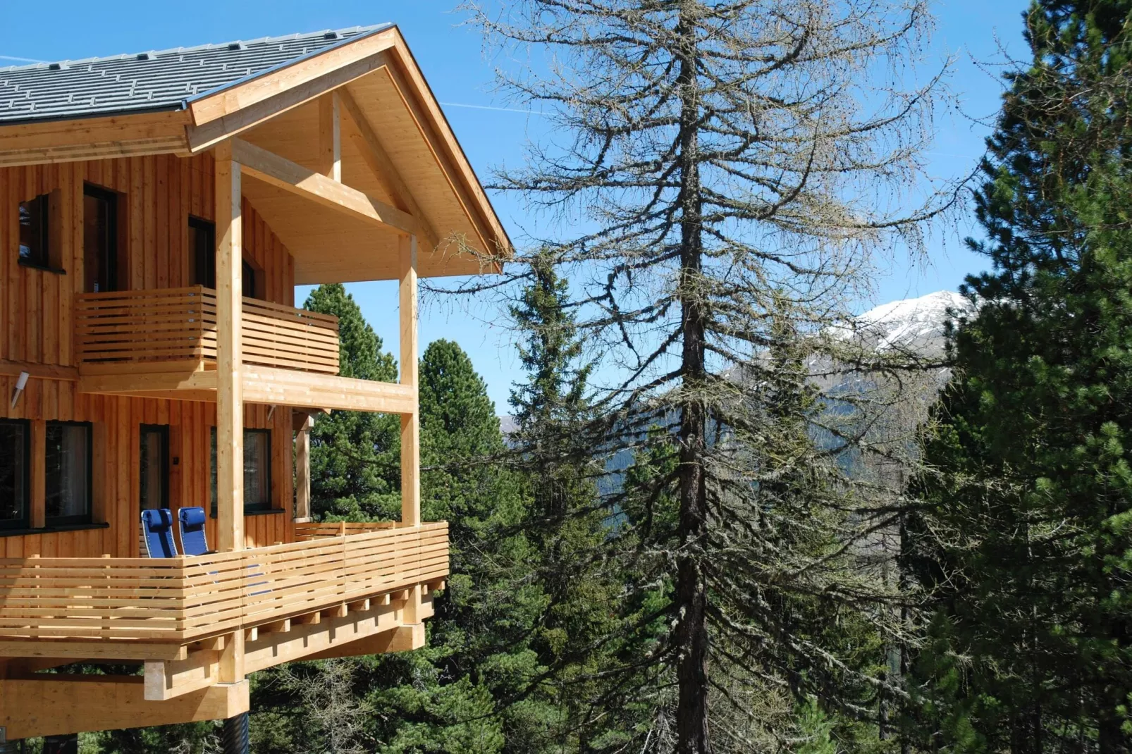 Alpenpark Turrach 13-Exterior summer