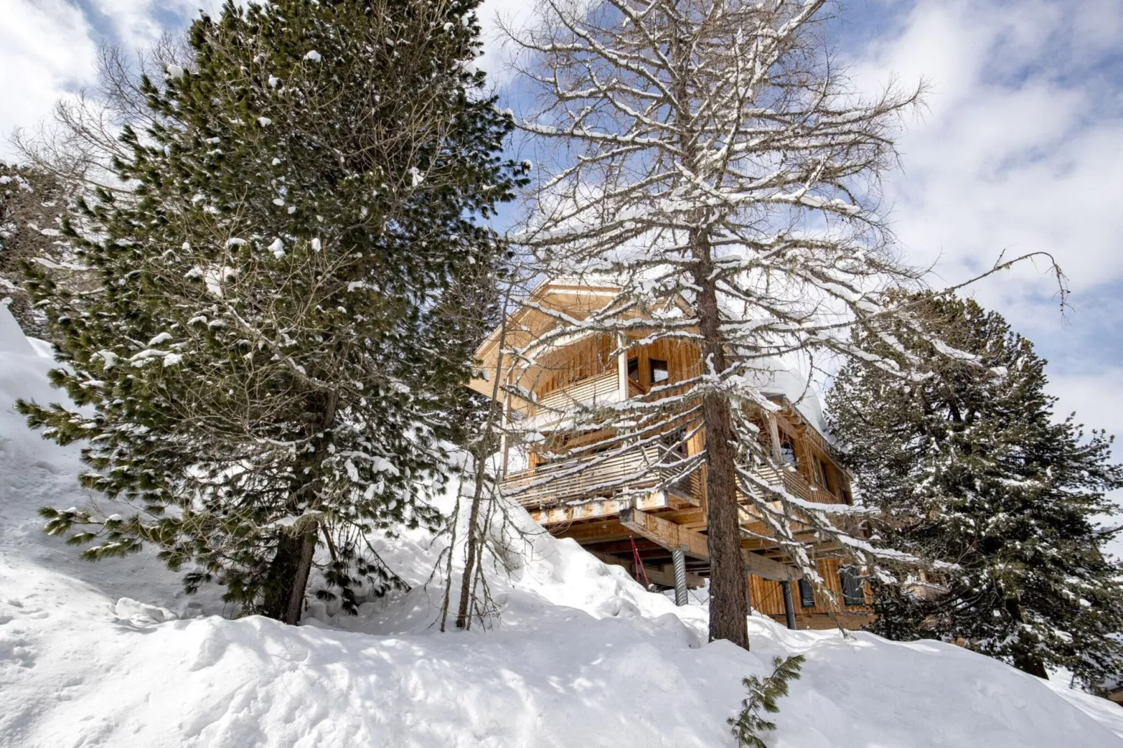 Alpenpark Turrach 13-Garden winter