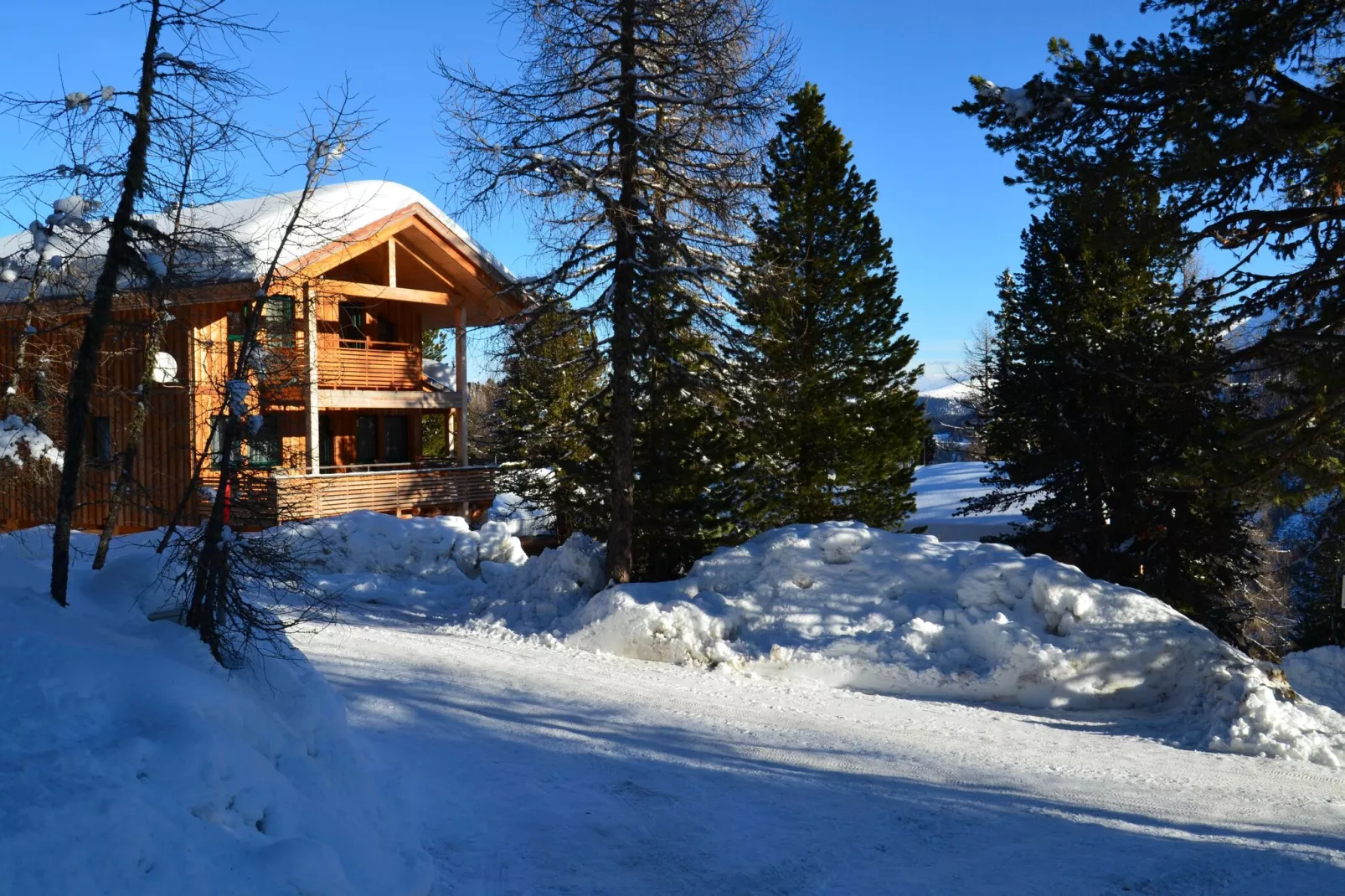 Alpenpark Turrach 13-Exterior winter
