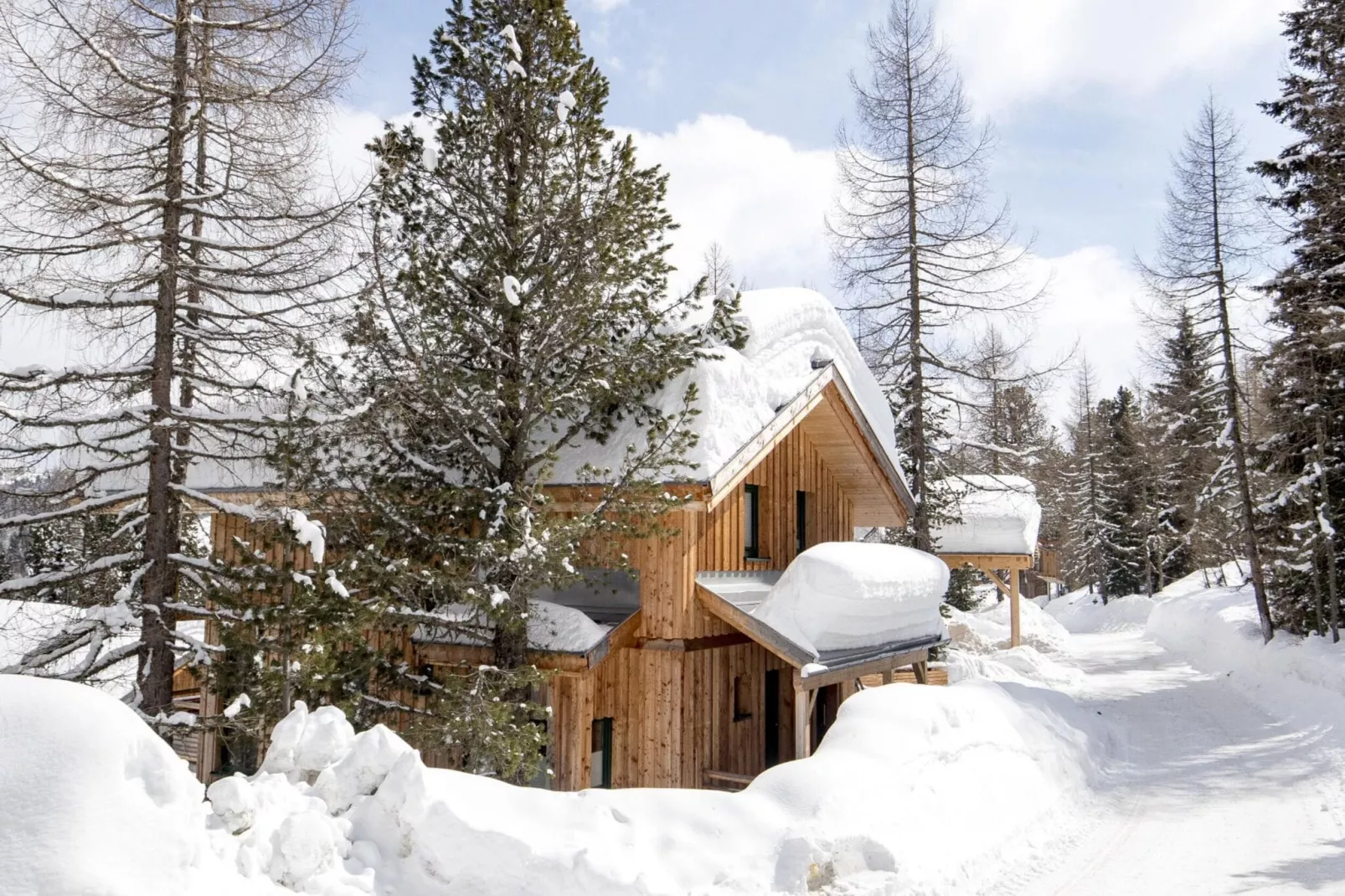 Alpenpark Turrach 15-Exterior winter