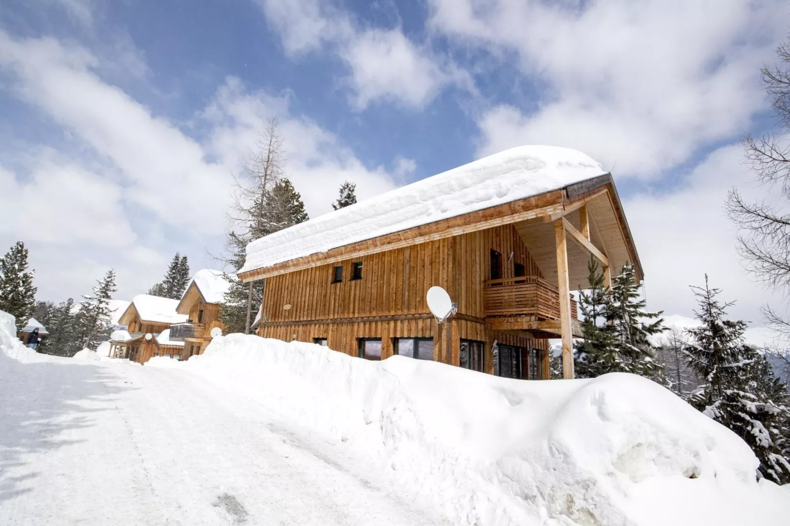 Alpenpark Turrach 17-Exterior winter