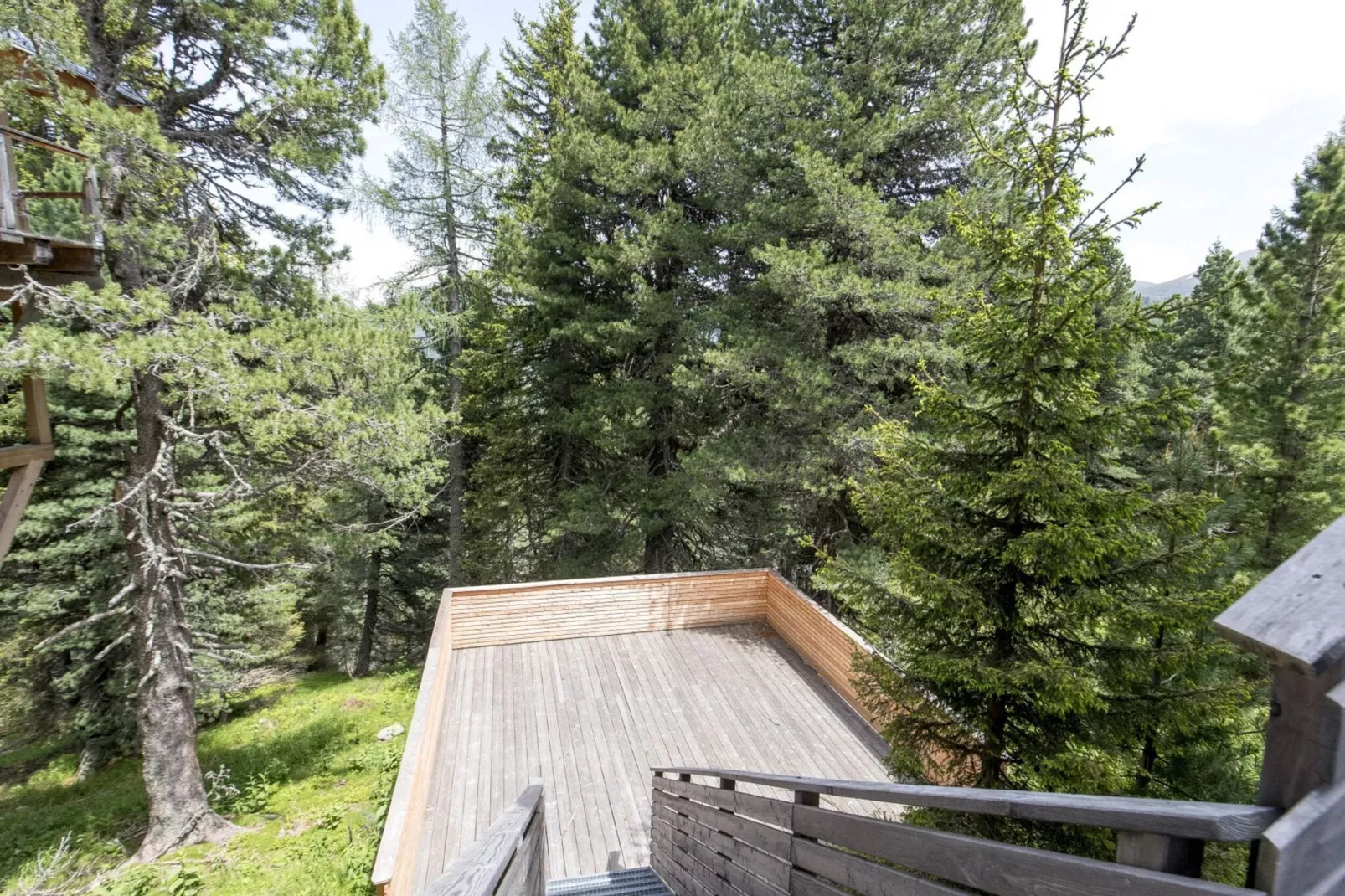 Alpenpark Turrach 19-View summer