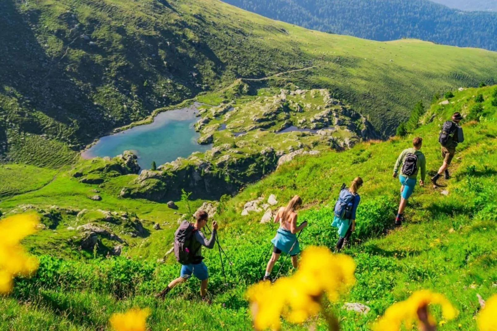 Alpenpark Turrach 20-Areas summer 5km