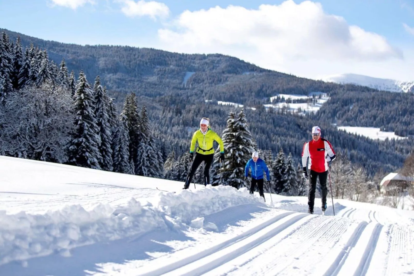 Alpenpark Turrach 20-Area winter 5km