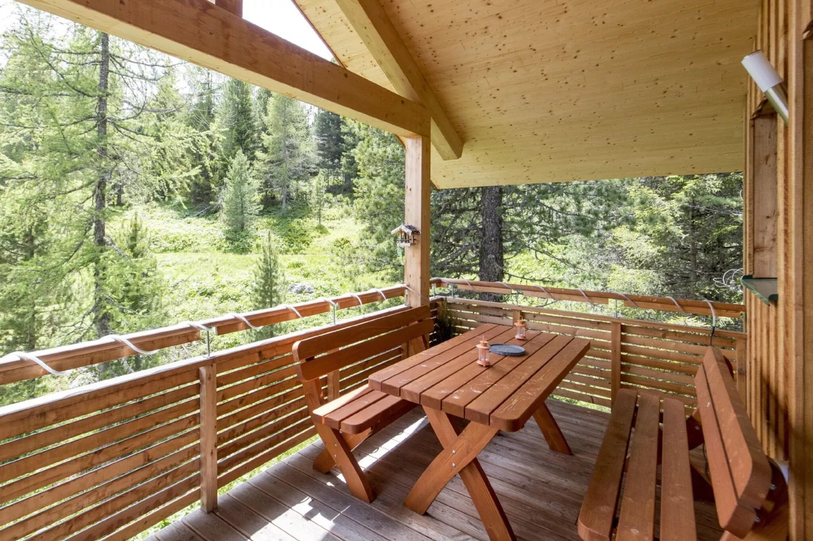 Alpenpark Turrach 21-Terrace balcony