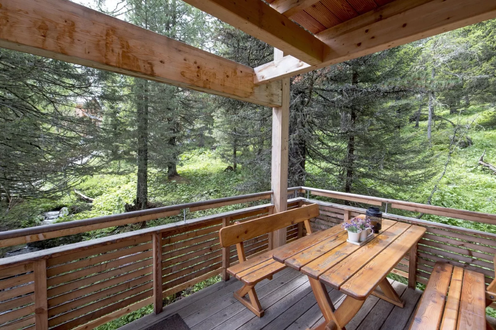 Alpenpark Turrach 25-Terrace balcony