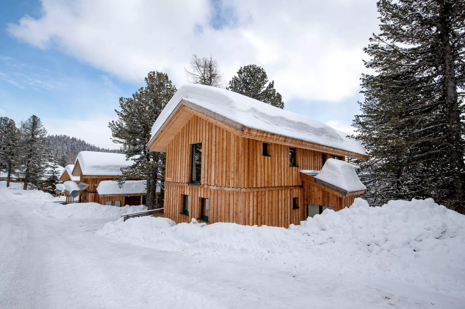 Alpenpark Turrach 28-Exterior winter