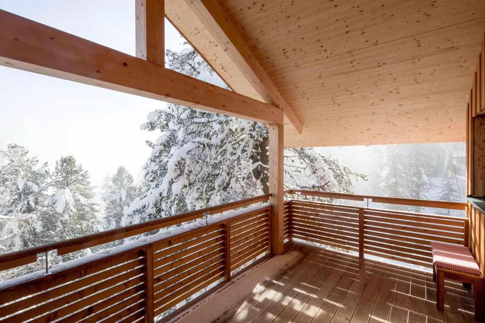 Alpenpark Turrach 28-Terrace balcony
