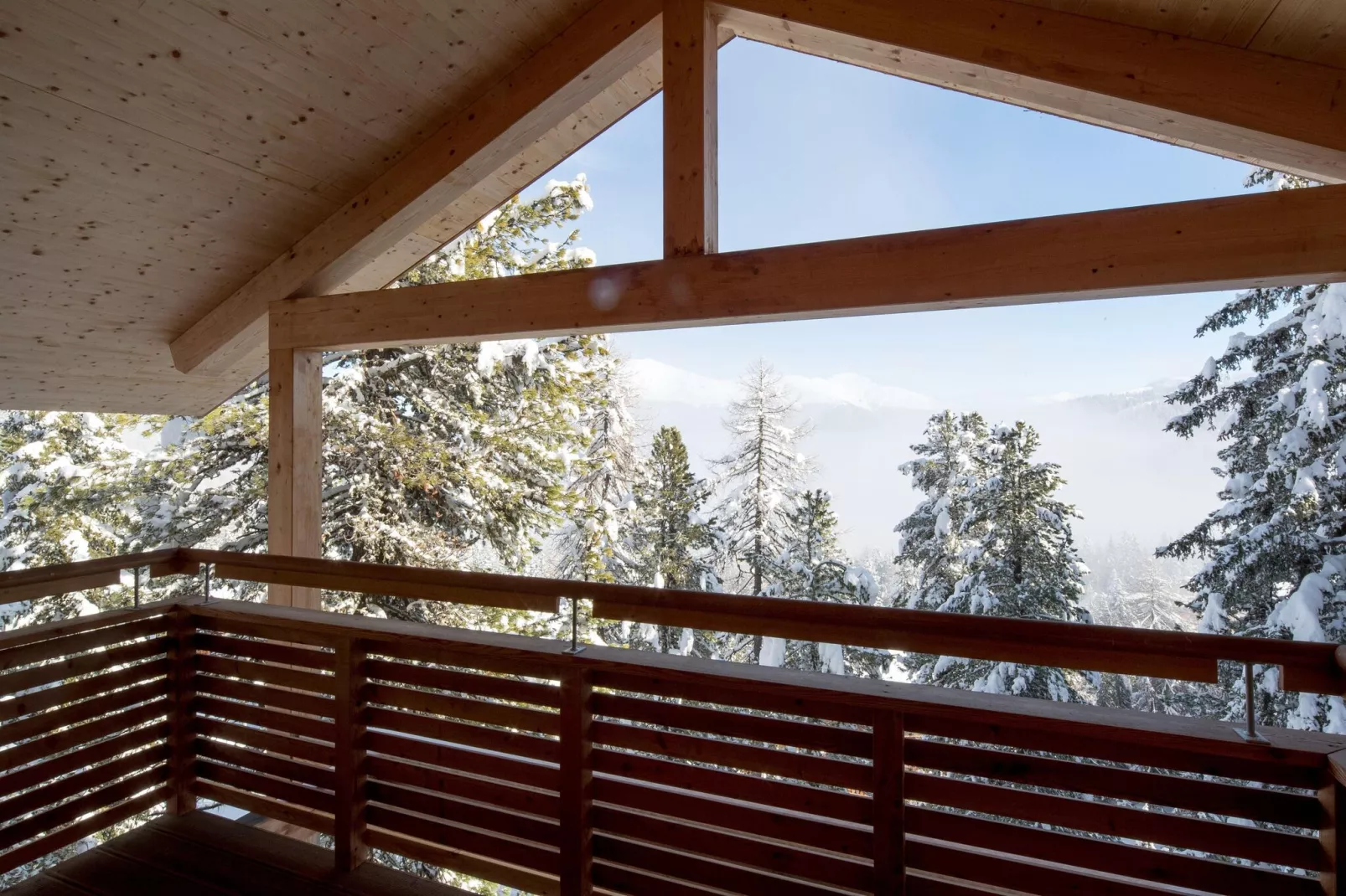 Alpenpark Turrach 30-View winter