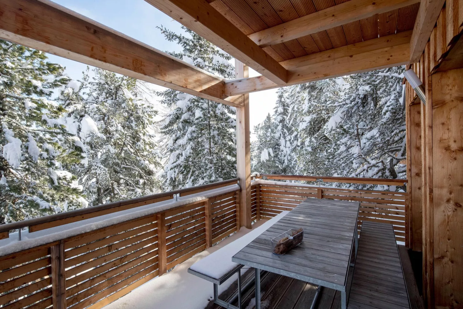 Alpenpark Turrach 32-Terrace balcony