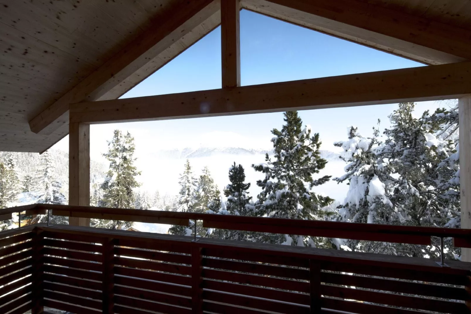 Alpenpark Turrach 32-View winter