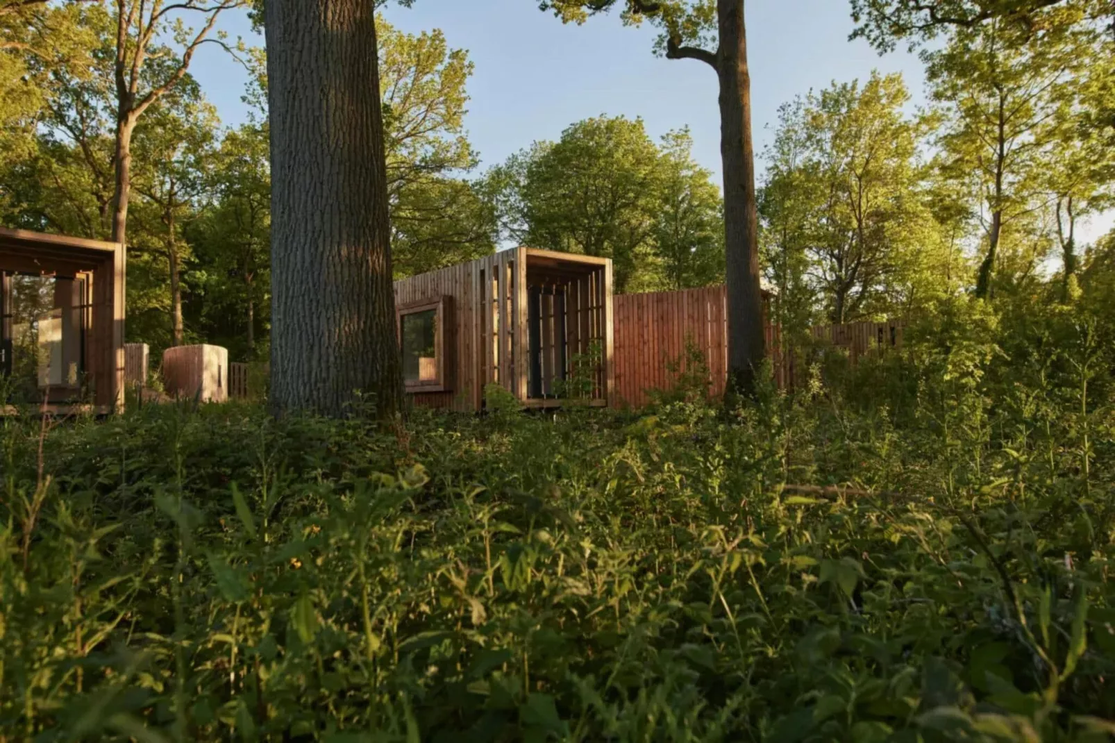 The Lodge by YourNature-Gardens summer