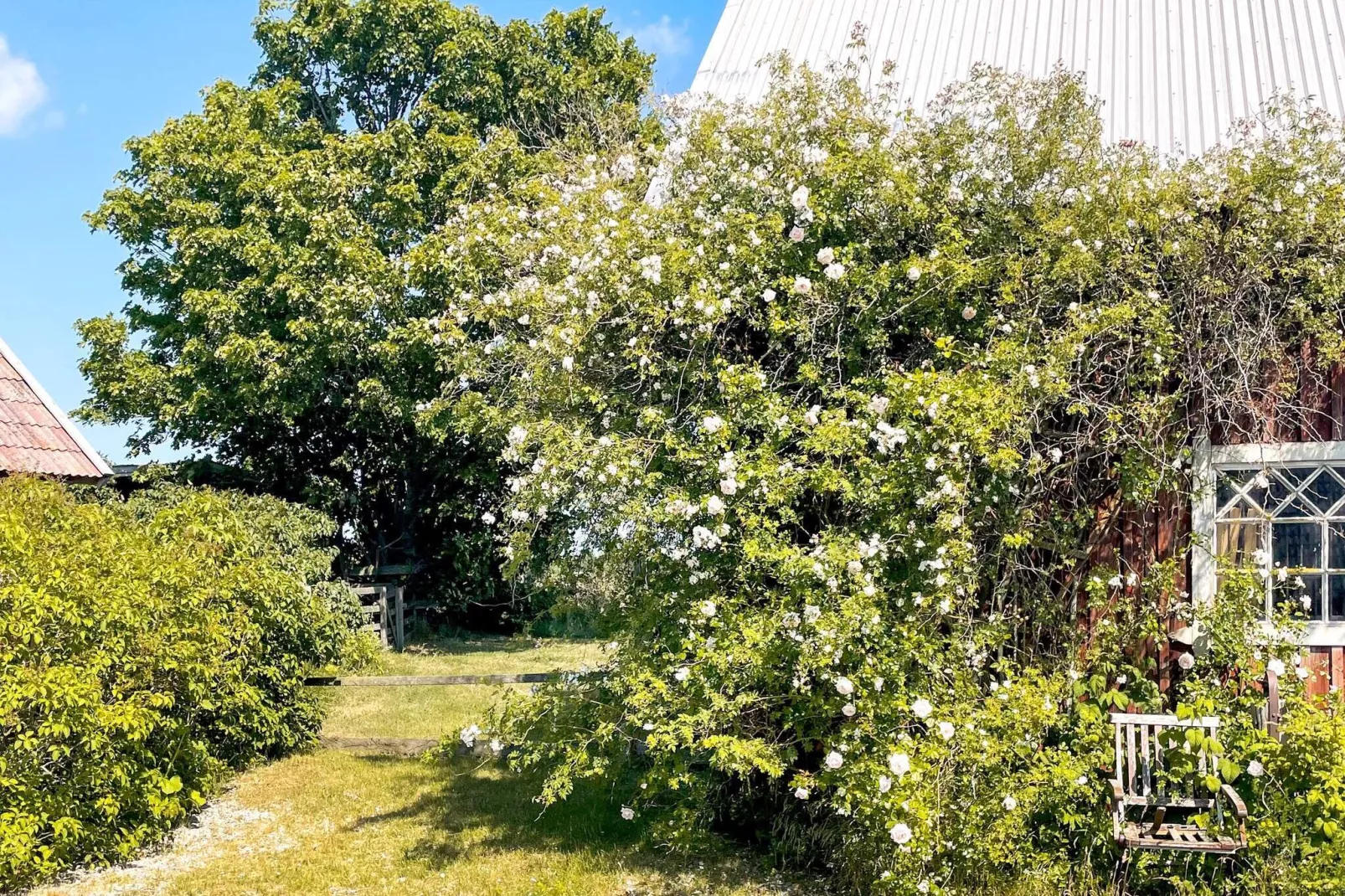 8 person holiday home in GOTLANDS.TOFTA-Outdoor