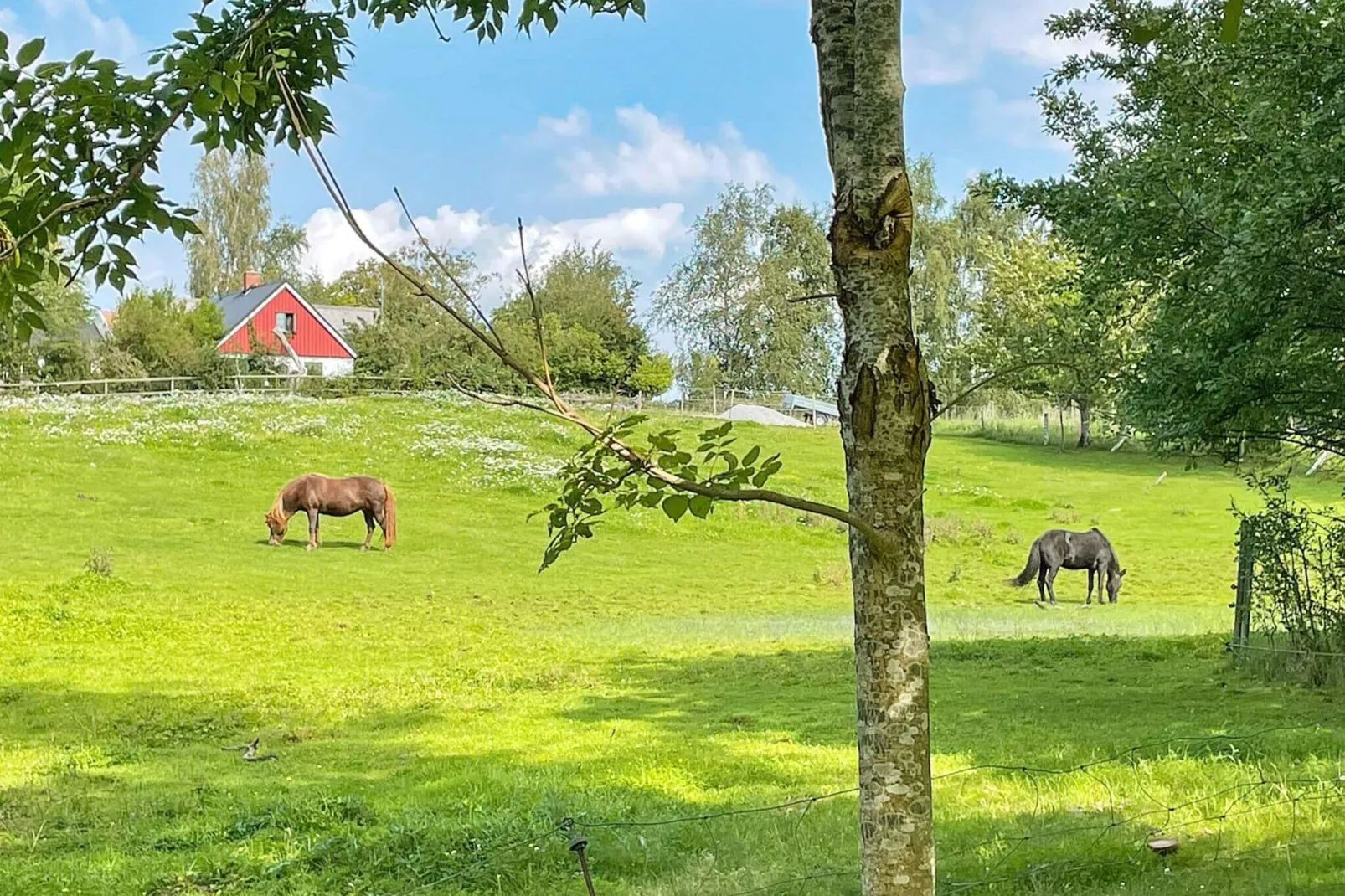 4 person holiday home in SKURUP-Not tagged