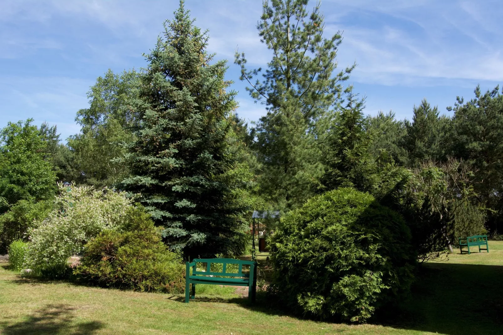 Ferienhaus Ahlbeck am Haff - Schlafen unter Reet / 2-Gardens summer
