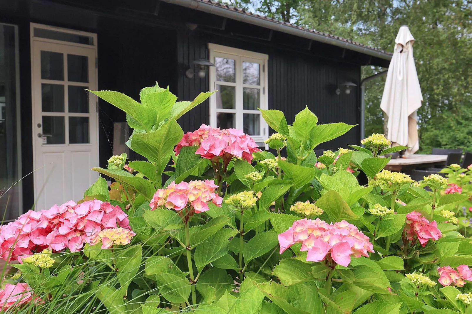 6 person holiday home in Mern-By Traum-View