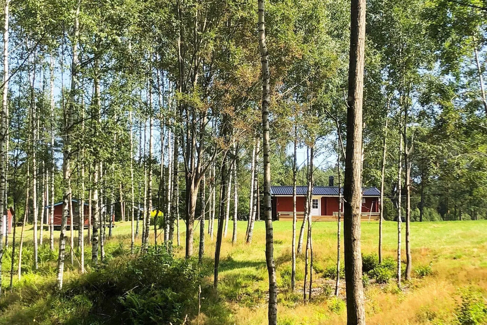 8 person holiday home in DALS-LÅNGED-By Traum-Outdoor