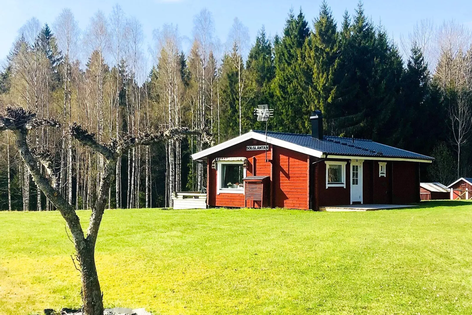 8 person holiday home in DALS-LÅNGED-By Traum-Outdoor